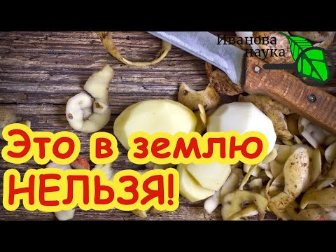 НИ В КОЕМ СЛУЧАЕ НЕ КЛАДИТЕ ЭТИ ОЧИСТКИ В ЗЕМЛЮ, пока не посмотрите это видео. Предупреждаю! НИ В КОЕМ СЛУЧАЕ НЕ КЛАДИТЕ ЭТИ ОЧИСТКИ В ЗЕМЛЮ, пока не посмотрите это видео. Предупреждаю!