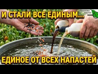 СИЛЬНЕЕ СРАЗУ В 100 РАЗ! Самые лучшие смеси удобрений и препаратов
