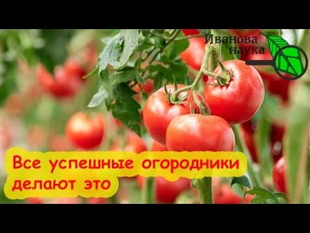 Заходя в теплицу, обязательно посмотрите на желтое! Для чего это надо - ответ в видео.