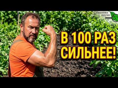 СИДЕРАТЫ В 100 РАЗ СИЛЬНЕЕ! Одна ложка при перекопке и ОГОРОД КАК НОВЫЙ! Улучшение почвы, удобрение