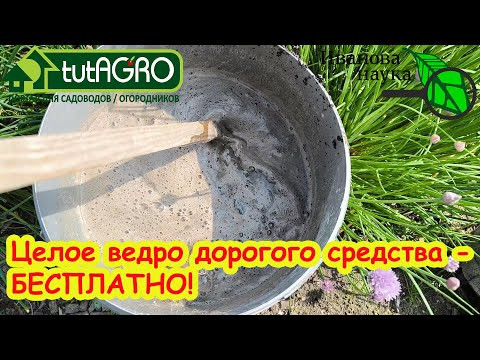 ВЕДРО ДОРОГОГО СРЕДСТВА - БЕСПЛАТНО: МОЩНЫЙ ОРГАНИЧЕСКИЙ СТИМУЛЯТОР РОСТА РАСТЕНИЙ СВОИМИ РУКАМИ! ВЕДРО ДОРОГОГО СРЕДСТВА - БЕСПЛАТНО: МОЩНЫЙ ОРГАНИЧЕСКИЙ СТИМУЛЯТОР РОСТА РАСТЕНИЙ СВОИМИ РУКАМИ!