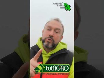 Без ядов и препаратов избавляюсь от вредителей на участке. Сейчас самое время!