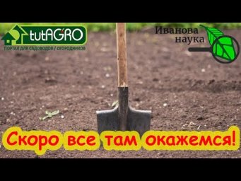 КАК ПРАВИЛЬНО ПРОТРАВИТЬ ПОЧВУ НА УЧАСТКЕ? Подготовка земли для высадки рассады и посева семян.