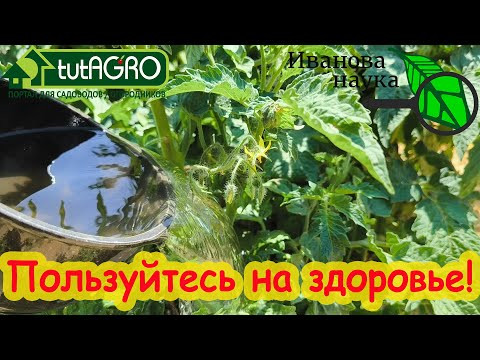 ЭТИ ПОДКОРМКИ ВООБЩЕ НИЧЕГО НЕ СТОЯТ! Чем подкормить весь огород бесплатно. ЭТИ ПОДКОРМКИ ВООБЩЕ НИЧЕГО НЕ СТОЯТ! Чем подкормить весь огород бесплатно.