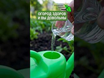Одна рюмка и земля здорова, а вы довольны! ЛУЧШИЙ СПОСОБ ДЕЗИНФЕКЦИИ ОГОРОДА ДЛЯ ЛЕНИВЫХ.