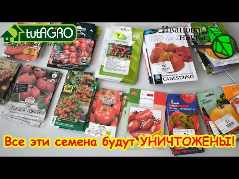 Семена Партнер - что с ними не так. ЭТИ СЕМЕНА ПОДЛЕЖАТ УНИЧТОЖЕНИЮ! Почему мы уничтожаем семена? Семена Партнер - что с ними не так. ЭТИ СЕМЕНА ПОДЛЕЖАТ УНИЧТОЖЕНИЮ! Почему мы уничтожаем семена?