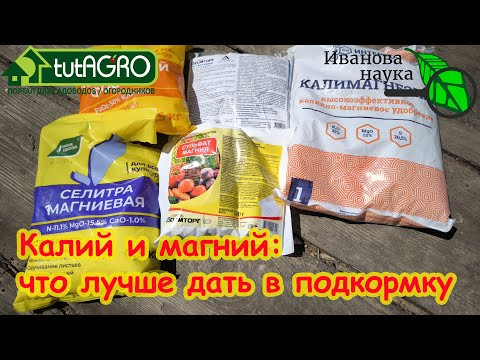 ТОМАТАМ В ПОДКОРМКУ ДАЮ ТОЛЬКО ЭТО! Калий и магний для томатов: что выбрать для подкормки. ТОМАТАМ В ПОДКОРМКУ ДАЮ ТОЛЬКО ЭТО! Калий и магний для томатов: что выбрать для подкормки.