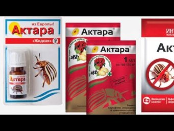 Как сэкономить Актару? С чем можно и с чем нельзя смешивать Актару.