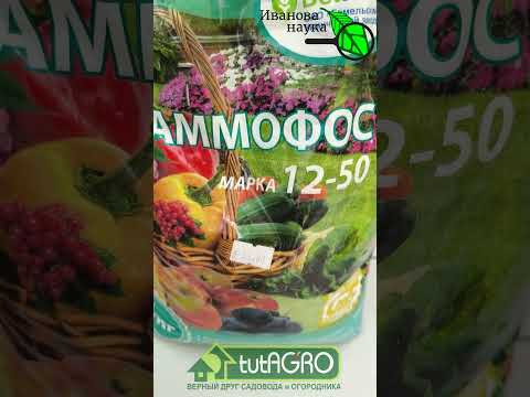ДЕШЁВАЯ ПОДКОРМКА, ОТ КОТОРОЙ ЗАВИСИТ ВСЁ! Сделайте эту подкормку рассады и будете с урожаем