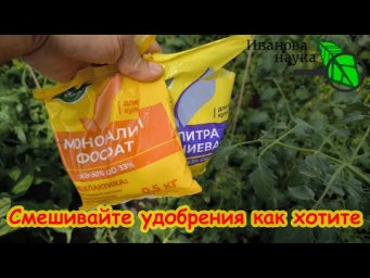 ЛИМОНКА - спасатель вашего огорода! Лимонная кислота - подкормка для: огурцов, томатов и других.