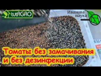 ПОСЕВ ТОМАТА НА РАССАДУ: без замочек и заморочек. СЕЙТЕ ТОМАТЫ ТОЛЬКО ТАК - РАССАДА ОЧЕНЬ КРЕПКАЯ.