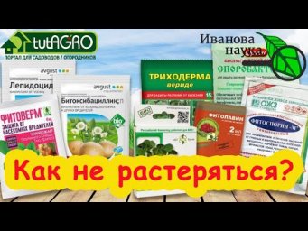ЧТО ВЫБРАТЬ К СЕЗОНУ 2025 ГОДА ДЛЯ ВСЕГО САДА и ОГОРОДА.