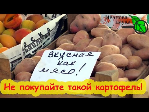 САМАЯ ОПАСНАЯ БОЛЕЗНЬ КАРТОФЕЛЯ ПРИ ХРАНЕНИИ. Этот картофель храниться не будет! Гнилой картофель. САМАЯ ОПАСНАЯ БОЛЕЗНЬ КАРТОФЕЛЯ ПРИ ХРАНЕНИИ. Этот картофель храниться не будет! Гнилой картофель.