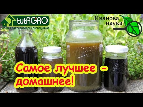 ЧТОБЫ ОГУРЦОВ и ПОМИДОРОВ БЫЛО МОРЕ, поливайте их этим домашним средством. Не тратьте деньги зря! ЧТОБЫ ОГУРЦОВ и ПОМИДОРОВ БЫЛО МОРЕ, поливайте их этим домашним средством. Не тратьте деньги зря!