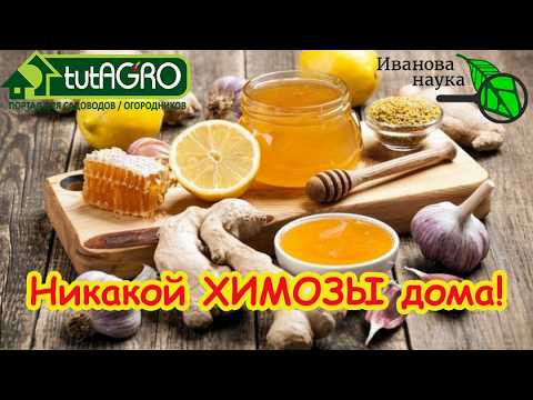 Секрет КРЕПКОЙ и ЗДОРОВОЙ РАССАДЫ  без химозы: домашние средства за копейки.