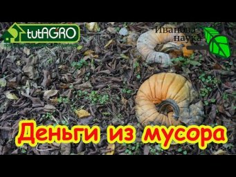 ДЕНЬГИ РАСТУТ НА ДЕРЕВЬЯХ! КУХОННЫЙ МЕТОД СНОВА ПОПУЛЯРЕН: обычный мусор превращаем в удобрение.