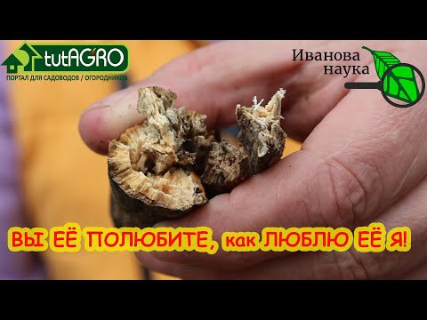 САМЫЕ ВЫГОДНЫЕ СРЕДСТВА ДЛЯ САДА и ОГОРОДА. МАКСИМУМ ВЫГОДЫ для себя и хозяйства: серия MAXI.