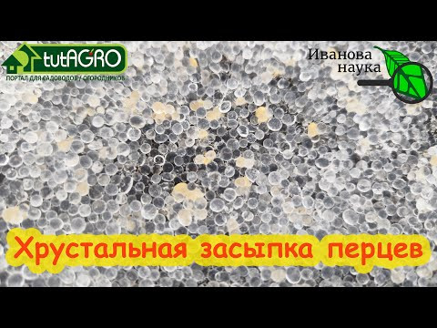 С ЭТОЙ ПРОЗРАЧНОЙ ЗАСЫПКОЙ ВСЕ СЕМЕНА ВСХОЖИЕ! Каким семенам нужен свет для прорастания, а каким нет