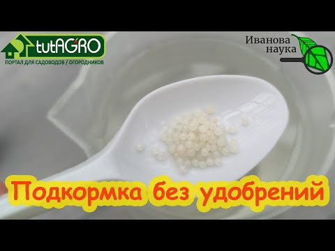 Герань выпустит десятки бутонов уже в феврале: для этой подкормки не нужны удобрения. Герань выпустит десятки бутонов уже в феврале: для этой подкормки не нужны удобрения.