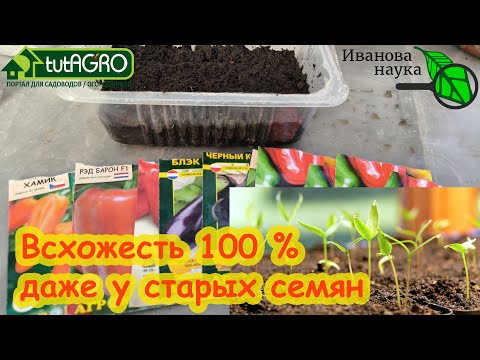 ПОСЕВ ПЕРЦА и БАКЛАЖАНА НА РАССАДУ БЕЗ ПРОРАЩИВАНИЯ. СЭНДВИЧ-ПОСЕВ семян с фирменной присыпкой.
