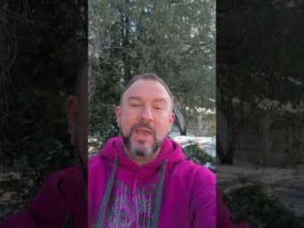 03 февраля 2024 года встречаемся в Минске на улица Кирова, 3. Магазин Процветок.