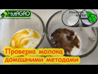 ВЫ УДИВИТЕСЬ, ЧТО ПОДМЕШИВАЮТ В МОЛОКО ПРОИЗВОДИТЕЛИ! Даже хром! Проверка молока в домашних условиях