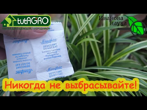 ЧТО ДОБАВИТЬ В ГРУНТ ДЛЯ РАССАДЫ. Улучшение торфа для посева семян и пикировки.