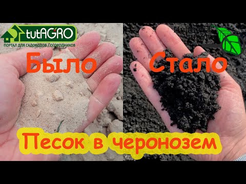 ЭТО УДОБРЕНИЕ ПРЕВРАЩАЕТ ЛЮБУЮ ПОЧВУ В ЧЕРНОЗЕМ! Реально работает! Удобрения сохраняют влагу в почве ЭТО УДОБРЕНИЕ ПРЕВРАЩАЕТ ЛЮБУЮ ПОЧВУ В ЧЕРНОЗЕМ! Реально работает! Удобрения сохраняют влагу в почве