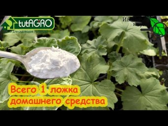 1 ЛОЖКА УЛУЧШИТ ЛЮБОЙ ГРУНТ. Это просто находка для всех огородников! Гораздо лучше удобрений!!!